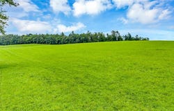 Murphy Bend Road, Ennice, NC 28623