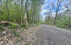 0 Maile Road, Greenfield Twp, PA 18407