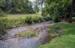 41 Pine Trail, Warne, NC 28909
