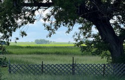 305 Roberts St, Webster, ND 58382