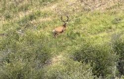 TBD Crow Creek Rd, Enterprise, OR 97828