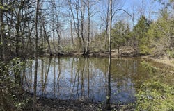 000 Harmony Road, Seymour, MO 65746