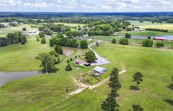 2662 County Road 1719, Holly Pond, AL 35083