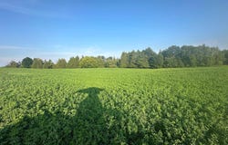 Co Rd 358, Daggett, MI 49821