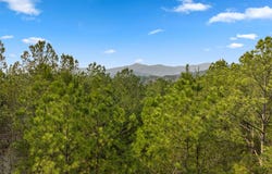 120 Hummingbird Way, Copperhill, TN 37317
