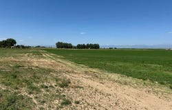 4 CR 19 & CR 26, Fort Lupton, CO 80621