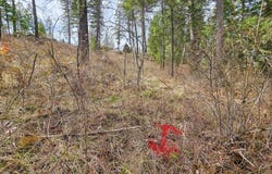 NKA E Deer Park Milan Rd, WA 99003
