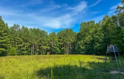 0 Fikes Ferry Road, Marion, AL 36756