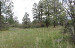 4140 N Pagosa Boulevard, Pagosa Springs, CO 81147