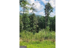 LOT 131 Lot 131 Twisted Oak #131, Ellijay, GA 30540