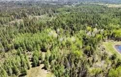 25 Acres S Johnson RD, Rudyard, MI 49780
