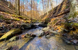 0 Frozen Hollow Road, Carbon Hill, AL 35549