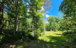 N11478 COTTAGE RD, Tomahawk, WI 54487
