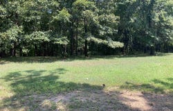 TBD Polk Road 136, Cove, AR 71953-9999