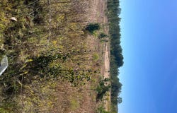 0 Sunset  Drive ( 6 Acres), Grenada, MS 38901