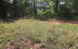 Sallys Ridge Rd, Henry, VA 24102
