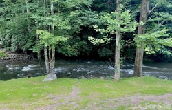 Big Laurel Road, Marshall, NC 28753