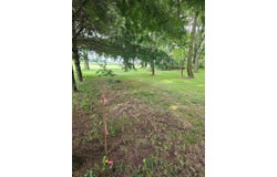 0 N Houston Pike, South Vienna, OH 45369
