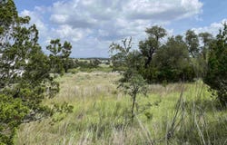 321 Cedar Mountain Drive, Marble Falls, TX 78669-2194