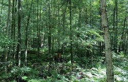 2548 Caribou Trail, West Branch, MI 48661-8025