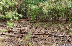 640 Blowing Cave Road, Gurley, AL 35748