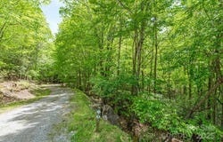 301 Jackpine Road, Beech Mountain, NC 28604