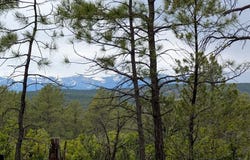13563 Meadow Lark Dr unit: 207, Bon Carbo, CO 81024