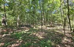 65 acres Plainview Road, Anderson, MO 64831