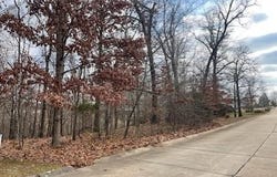 3636 McLane Drive, Poplar Bluff, MO 63901