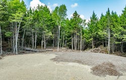 007 009, Waltham, ME 04605