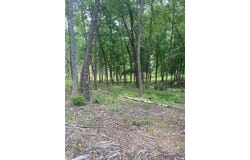Crestview Rd lot: 96, Wirtz, VA 24184