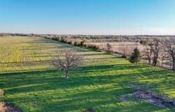 000 FM 2245, Ivanhoe, TX 75447