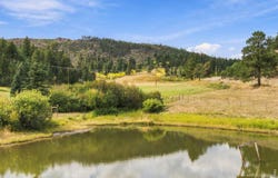 14133 Rist Canyon Rd, Bellvue, CO 80512