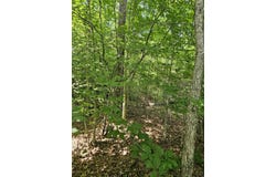 000 Hites Creek, Middleburg, KY 42541