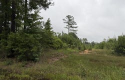Shell Oil Road, Summit, MS 39666