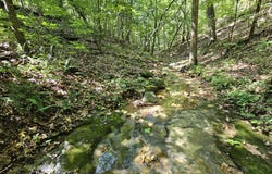 65 Acres Plainview Road, Anderson, MO 64831