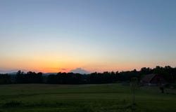 517 Possum Trot Road, Grandview, TN 37337
