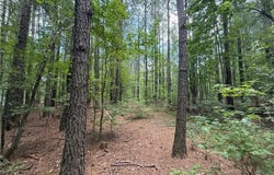 000 COUNTY ROAD 1815, JOPPA, AL 35087