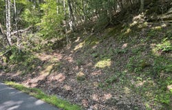 Tbd Skeetrock Road, Clintwood, VA 24228