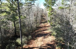 Tbd Bamboo Road, Big Sandy, TX 75755