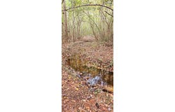 Nhn Firefox, Poplarville, MS 39470