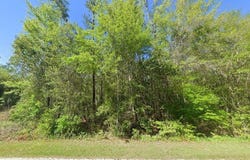 100 W STATE LINE ROAD, CENTURY, FL 32535