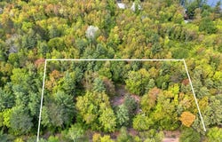 11042 W Lilly Lake, Manistique, MI 49854