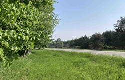 N/A N M-33, Rose City, MI 48654