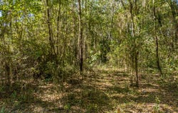 Lot 24 Mallard Drive, Barnwell, SC 29812