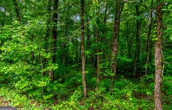 Lot 44 Harris Creek, Ellijay, GA 30540