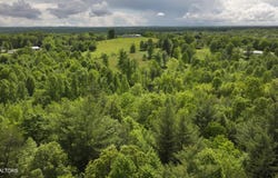 Tim Jones Rd, Deer Lodge, TN 37726