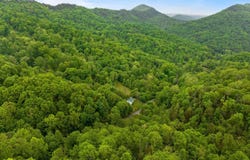 Tract 7 Sandy Valley Road, Rogersville, TN 37857