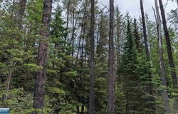 Vermilion Trail, Aurora, MN 55705