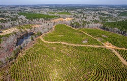 1766 CRAWFORDVILLE ROAD, White Plains, GA 30678